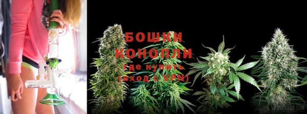 шишки Баксан