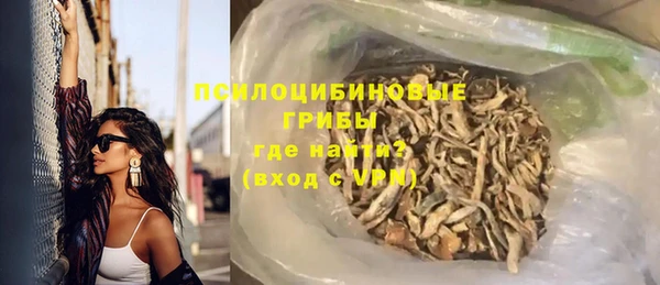 шишки Баксан