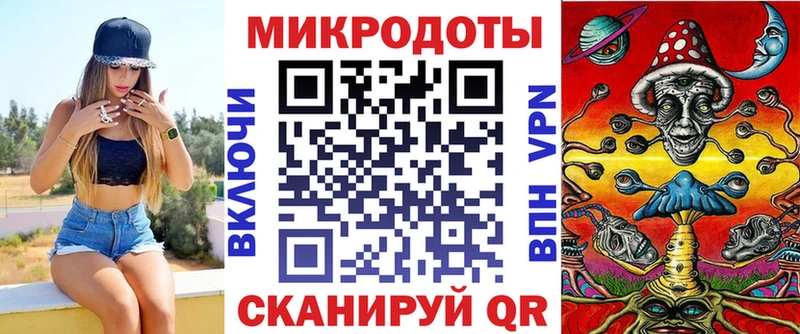 где можно купить   Пересвет  Псилоцибиновые грибы Psilocybe 
